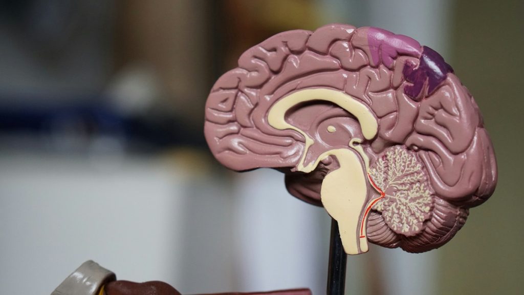 Az orrunk árulhatja el elsőként az Alzheimer-kór közeledtét