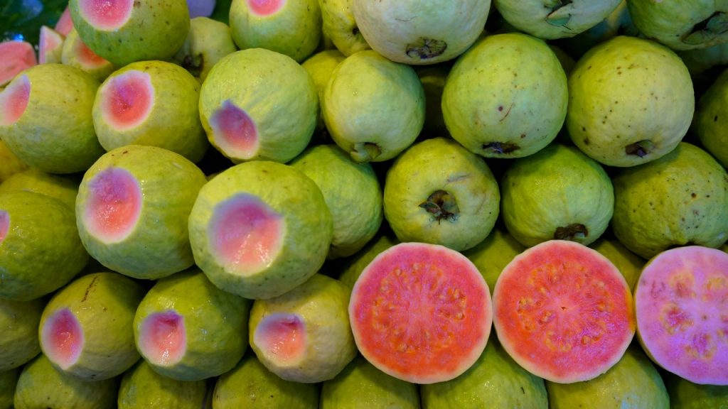 A guava: a trópusi gyümölcs, amely segíthet a vérszegénység megelőzésében
